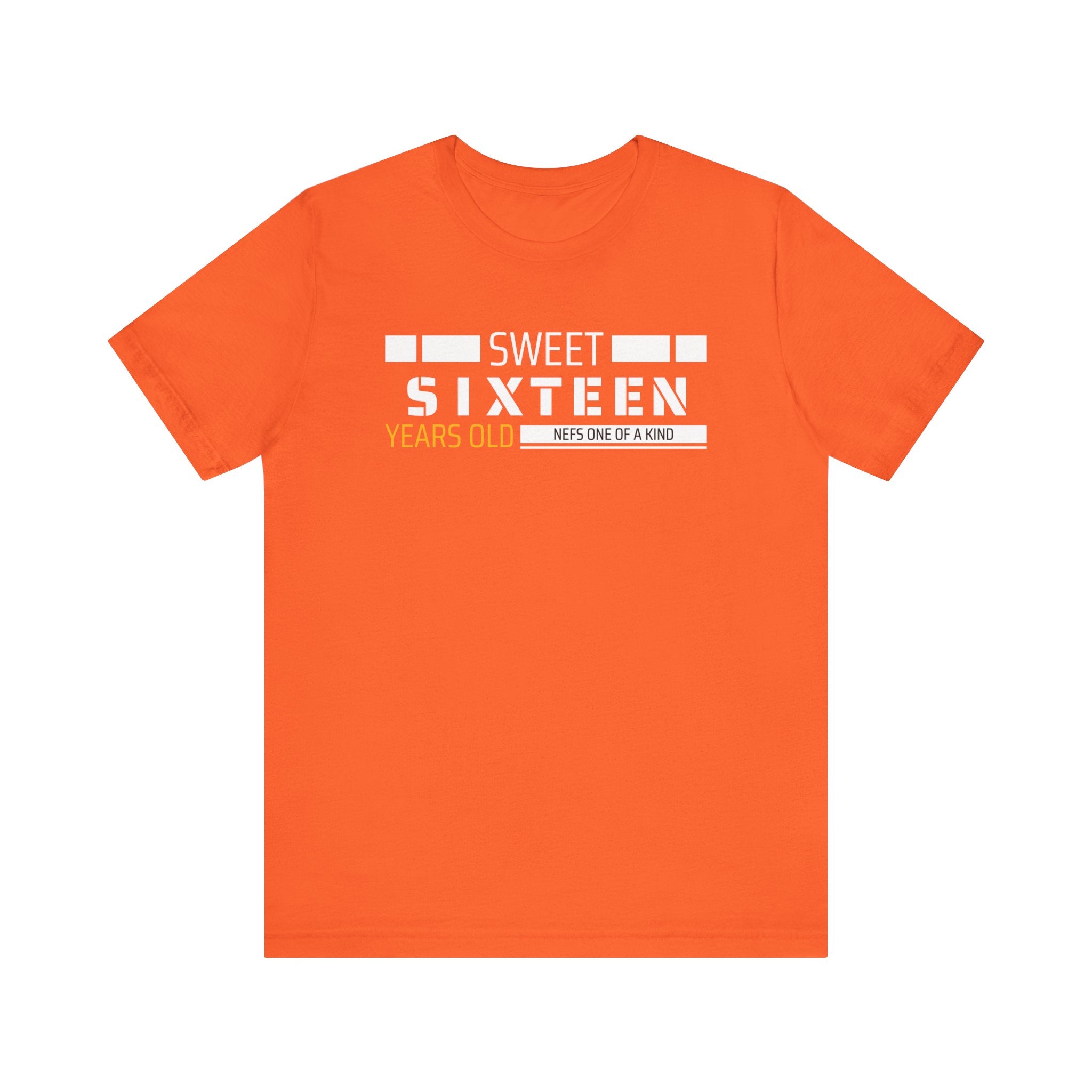 Sixteen year old Unisex Adult Tee